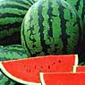 Watermelon, Melon and Pumpkin
